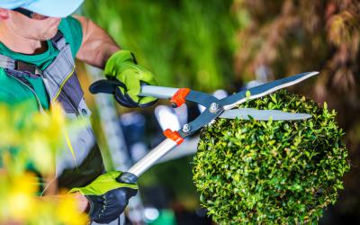 Préparons votre jardin pour les beaux jours 