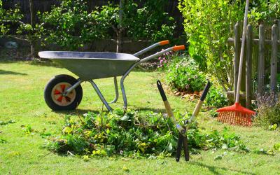 Astuce & Conseil en jardinage