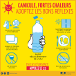 CANICULE : Ayez les bons gestes !