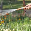 Préparons votre jardin pour les beaux jours 